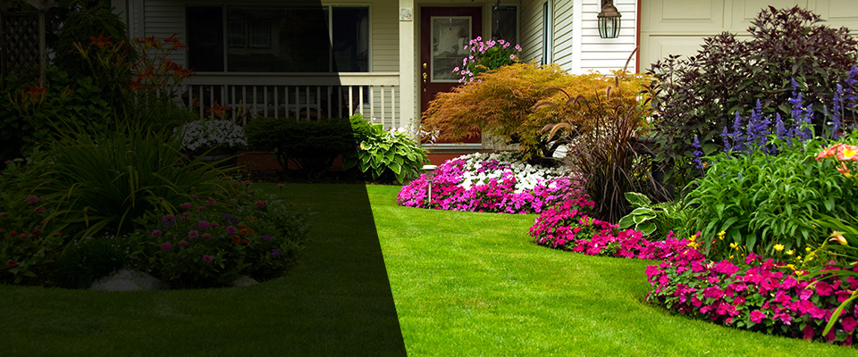 Highlands Landscapers